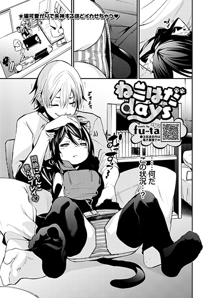 ねこはだdays